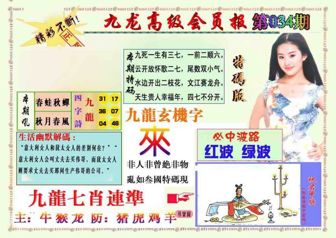 034期九龙高级会员报[图]